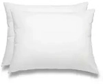wometo 2 St&uuml;ck / 2er Set Federkissen 100% Federn 40x60 - 600g OEKO-TEX Kissen /
