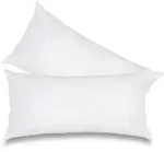 wometo 2 St&uuml;ck / 2er Set Federkissen 100% Federn 40x80 - 600g OEKO-TEX Kissen /