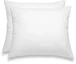 wometo 2 St&uuml;ck / 2er Set Federkissen 100% Federn 40x50 - 450g OEKO-TEX Kissen /