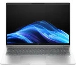HP ProBook 4 G1i 16 (Pike Silver, 16" WUXGA, Intel Core Ultra 7 255H, 64 GB RAM, 2 TB