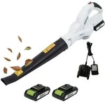 TRUTZHOLM Akku-Laubbl&auml;ser 20V mit 2000mAh 240km/h mit 2 Akkus & Ladeger&auml;t