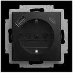 Busch-Jaeger USB-Steckdosen-Einsatz 20 EUCB2USBAC-915 2CKA002011A6342