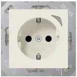 Jung SCHUKO Steckdose BT A 1521 S BTA1521S
