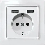 Eltako Schutzkontakt-Steckdose DSS55E+2xUSBA-wg 30055896
