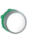 Schneider Electric Drucktaster, Front ZB5AH01C0