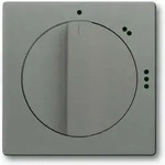 Busch-Jaeger Zentralscheibe gr/metal 2542 DR/02-803 2CKA001710A4126