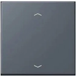 Jung Wippe mit Pfeilsymbolen LC 101P 262 LC101P262