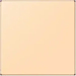 Jung Blind-Abdeckung (gerastet) LC 994 B 223 LC994B223