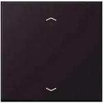 Jung Wippe mit Pfeilsymbolen LC 101P 248 LC101P248