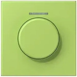 Jung Abdeckung mit Lichtleiter LC 1940 KO5 221 LC1940KO5221