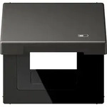 Jung Klappdeckel AL 2990 KL USB AN AL2990KLUSBAN