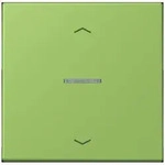 Jung Wippe mit Lichtleiter LC 101 KO5P 220 LC101KO5P220