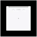 Busch-Jaeger Zentralscheibe 1792 U-44G 2CKA001710A4240