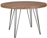 FineBuy Esszimmertisch Rund &Oslash; 120 cm Massivholz Sheesham Esstisch K&uuml;chentisch