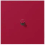 Jung Abdeckung mit Kipphebel LC 12-0 R 0 229 LC12-0R0229