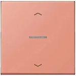 Jung Wippe mit Lichtleiter LC 101 KO5P 233 LC101KO5P233