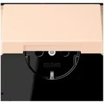 Jung SCHUKO Steckdose LC 1520 BFKIKL 228 LC1520BFKIKL228