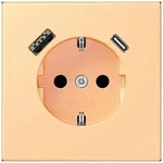 Jung SCHUKO Steckdose LC 1520-15 CA 258 LC1520-15CA258