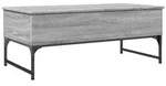 vidaXL Couchtisch Grau Sonoma 100x50x40 cm Holzwerkstoff und Metall