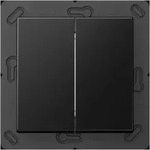 Jung Matter Taster 2f MAT A 595 SWM MATA595SWM