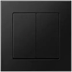 Jung Matter Taster 2f MATS A 550 595 SWM MATSA550595SWM
