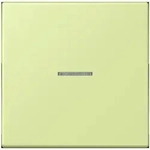 Jung Wippe mit Lichtleiter LC 101 KO5 222 LC101KO5222