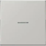 Jung Wippe mit Lichtleiter LC 101 KO5 205 LC101KO5205