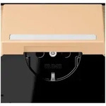 Jung SCHUKO Steckdose LC 1520 BFNAKL 237 LC1520BFNAKL237