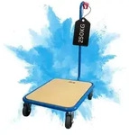 PROREGAL Profi Griffroller HxBxT 96x50x60 cm Traglast 250kg Vollgummibereifung...