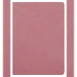 Clairefontaine 5x Age Bag, Notizheft A4, 48 Blatt blanko 90g - Antikrosa 733006C