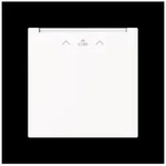 Busch-Jaeger Zentralscheibe 1792 RFID-44M 2CKA001710A4245