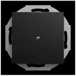 Busch-Jaeger Zentralscheibe 2527-915 2CKA001710A4256