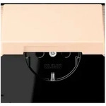 Jung SCHUKO Steckdose LC 1520 BFKL 238 LC1520BFKL238