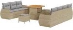 vidaXL 10-teiliges Garten Sofa Set mit Kissen Beige Poly Rattan Akazie