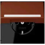 Jung SCHUKO Steckdose LC 1520 BFNAKL 247 LC1520BFNAKL247