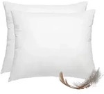 wometo 2 St&uuml;ck / 2er Set Federkissen 100% Federn 70x90 - 1.200g OEKO-TEX...
