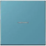 Jung Wippe mit Lichtleiter LC 101 KO5 212 LC101KO5212