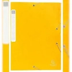 Exacompta 18506H 25x Archivbox Cartobox, flach geliefert, R&uuml;cken 25mm aus