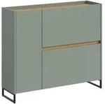 Ebuy24 Drive Schuhschrank 1 T&uuml;r, 2 Klappent&uuml;ren Salbeidekor.