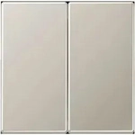 Jung Matter Taster 2f MAT ES 2995-L MATES2995-L