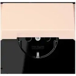 Jung SCHUKO Steckdose LC 1520 BFKIKL 226 LC1520BFKIKL226