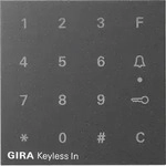 Gira Aufsatz Codetastatur anth 851328