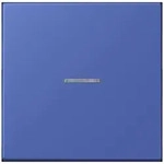 Jung Wippe mit Lichtleiter LC 101 KO5 206 LC101KO5206