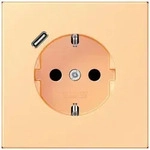 Jung SCHUKO Steckdose LC 1520-18C 258 LC1520-18C258