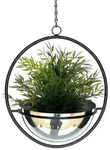 DanDiBo Blumenampel Innen Metall Wand H&auml;ngepflanzen 53 cm 96087 M mit Topf...