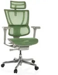 B&uuml;rostuhl / Chefsessel ERGOHUMAN SLIM G GEN2 Netzstoff gr&uuml;n hjh OFFICE