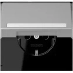 Jung SCHUKO Steckdose LC 1520 BFNAKL 204 LC1520BFNAKL204