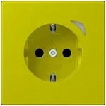 Jung SCHUKO Steckdose BT LC 1521 S 249 BTLC1521S249