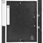 Exacompta 14016H 10x Archivbox Cartobox, flach geliefert R&uuml;cken 40mm aus