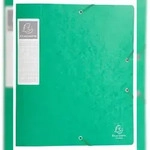 Exacompta 16003H 10x Archivbox Cartobox, flach geliefert R&uuml;cken 60mm aus
